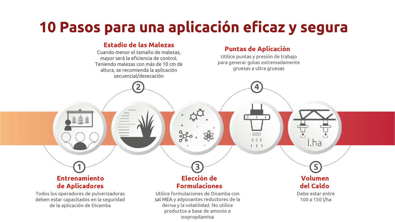 10 pasos-01