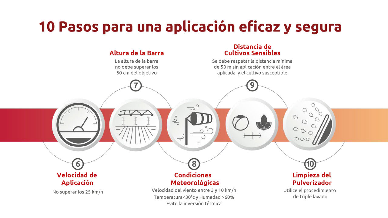 10 pasos-02